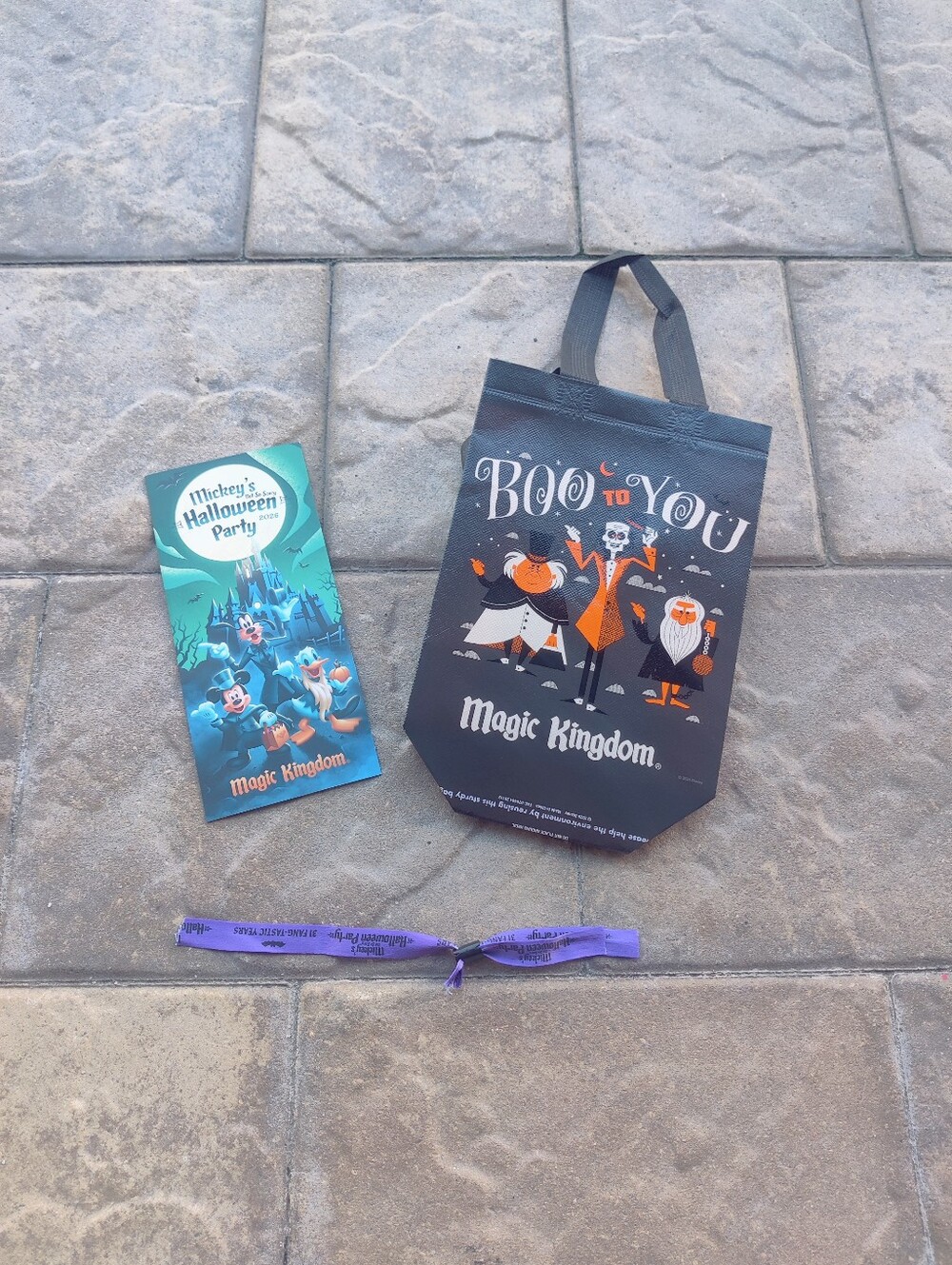 Disney 2026 Mickey's Not-So-Scary Bundle (Single)